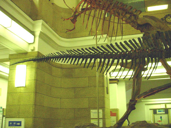 DINOTAIL1.JPG - 60,575BYTES