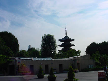 UENOFIN.JPG - 22,436BYTES
