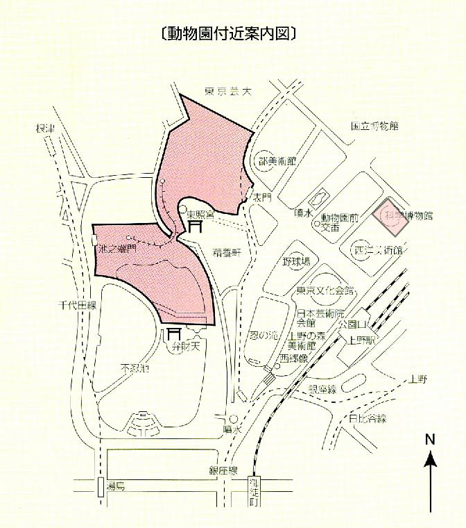 UENOSTATIONAROUND.JPG - 98,219BYTES
