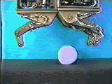 Rolling based grasp (by Robot).
