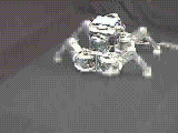 Titan(Body)