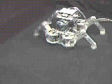 Titan(Body:quick)